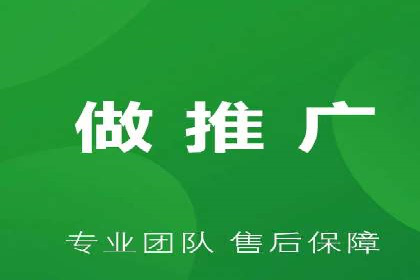 某某SEM团队成功案例：广告投放策略揭秘